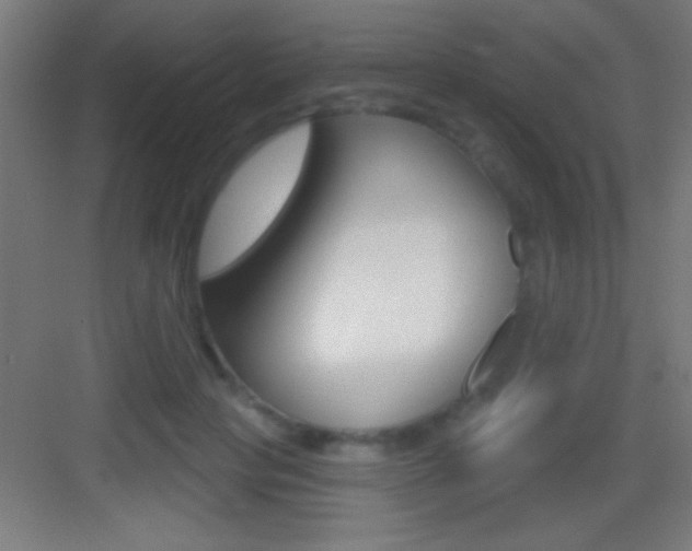 X0000083570649200702090816