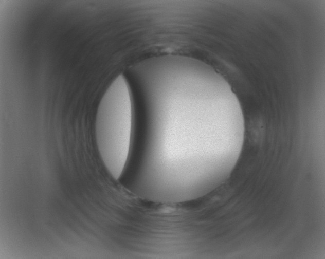 X0000083570657200702090816