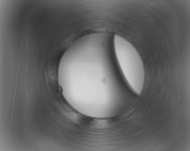 X0000083570665200702090816