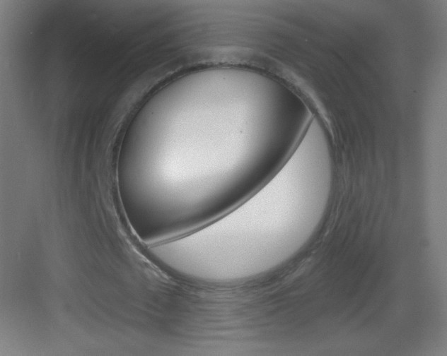 X0000083570673200702090816