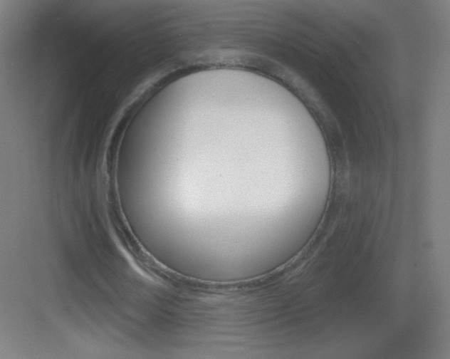 X0000083570674200702090816