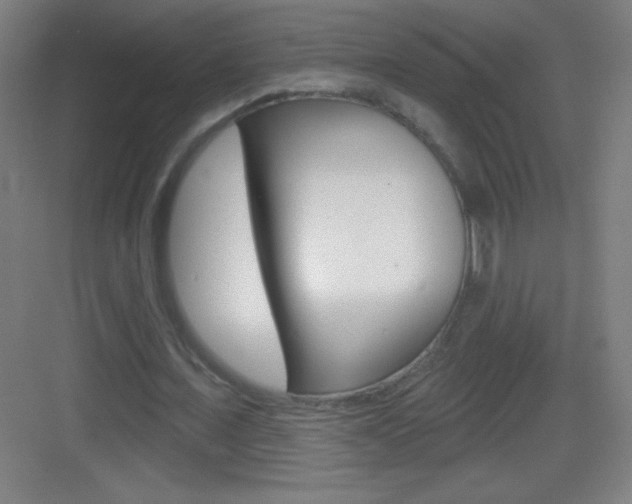 X0000083570675200702090816