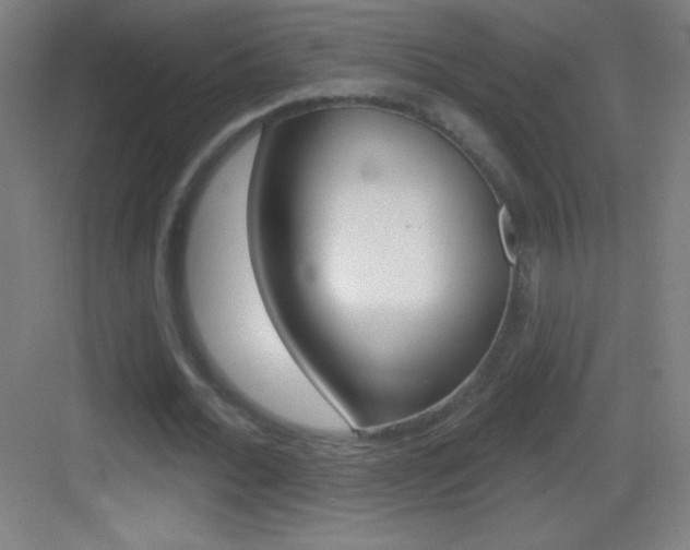 X0000083570676200702090816