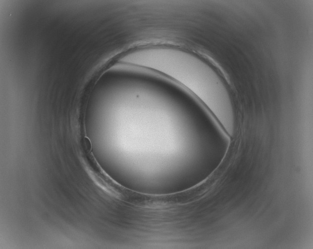 X0000083570677200702090816