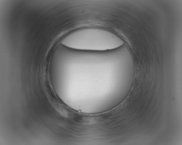 X0000083570679200702090816