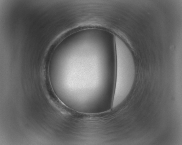 X0000083570680200702090816