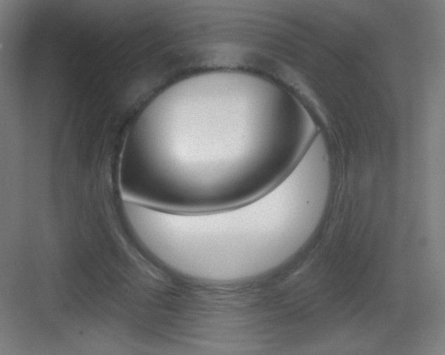 X0000083570681200702090816