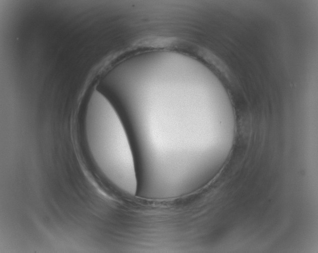 X0000083570682200702090816