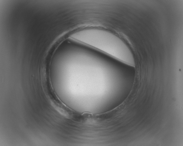 X0000083570684200702090816