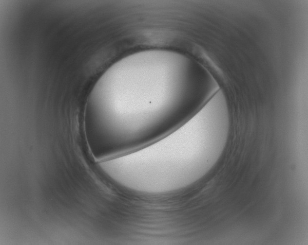 X0000083570685200702090816