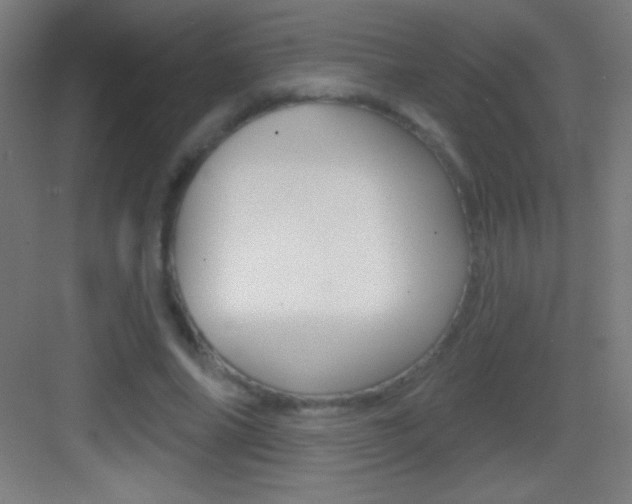 X0000083570686200702090816