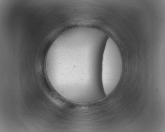X0000083570687200702090816