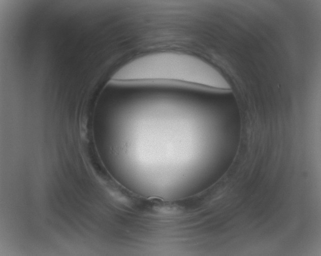 X0000083570693200702090815