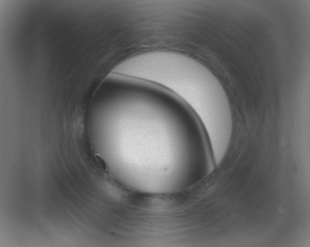X0000083570697200702090815