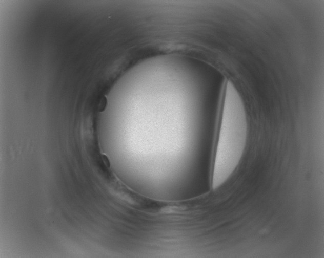 X0000083570700200702090815