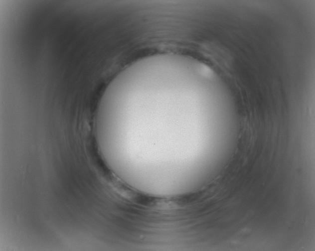 X0000083570702200702090815
