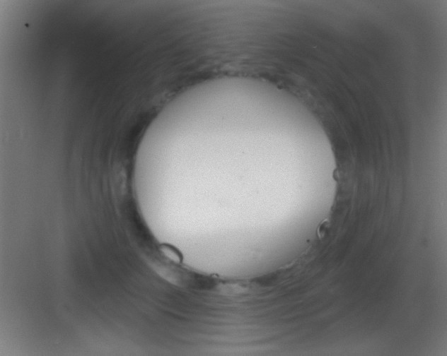 X0000083570703200702090815