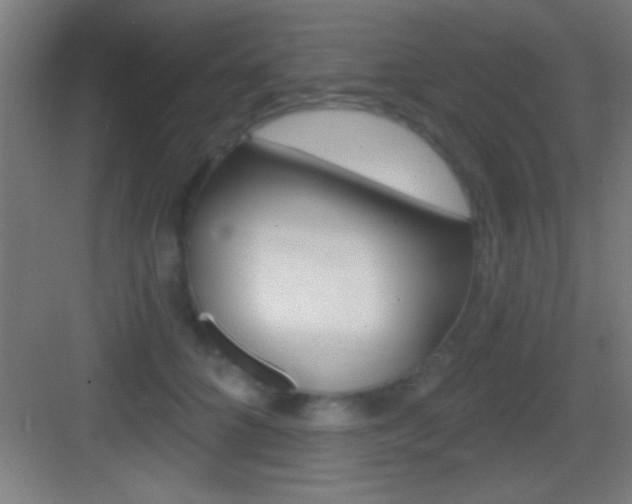 X0000083570704200702090815
