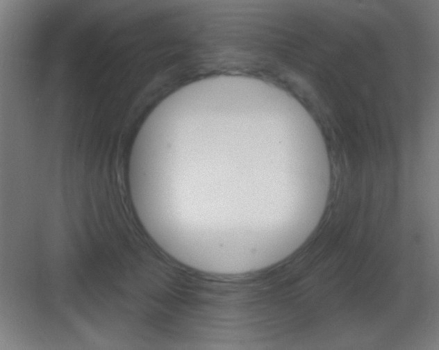 X0000083570705200702090815