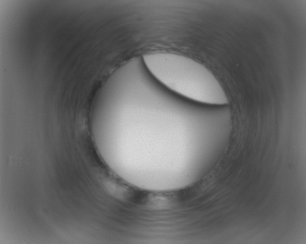 X0000083570706200702090815