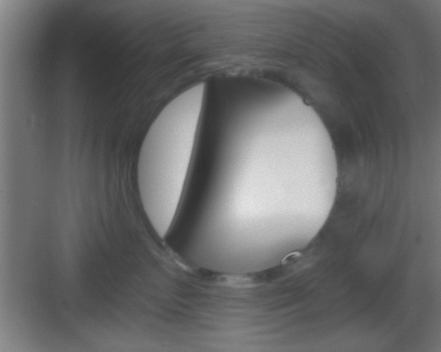 X0000083570719200702090815