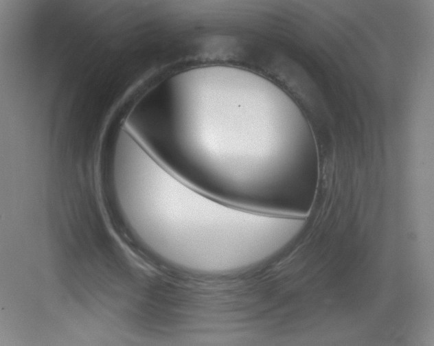 X0000083570722200702090814