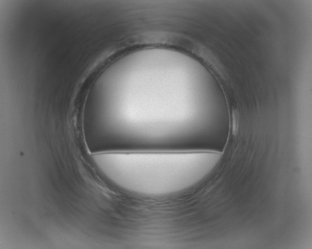 X0000083570723200702090814