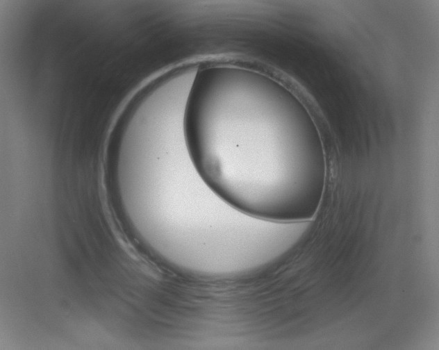 X0000083570724200702090814