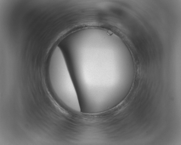 X0000083570725200702090814