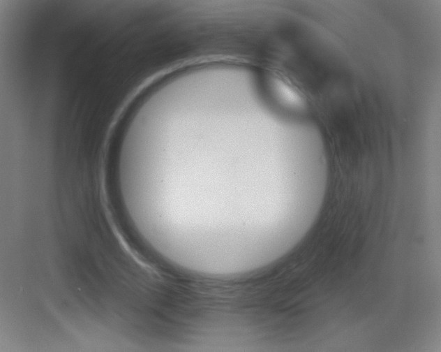 X0000083570728200702090814