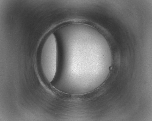 X0000083570730200702090814