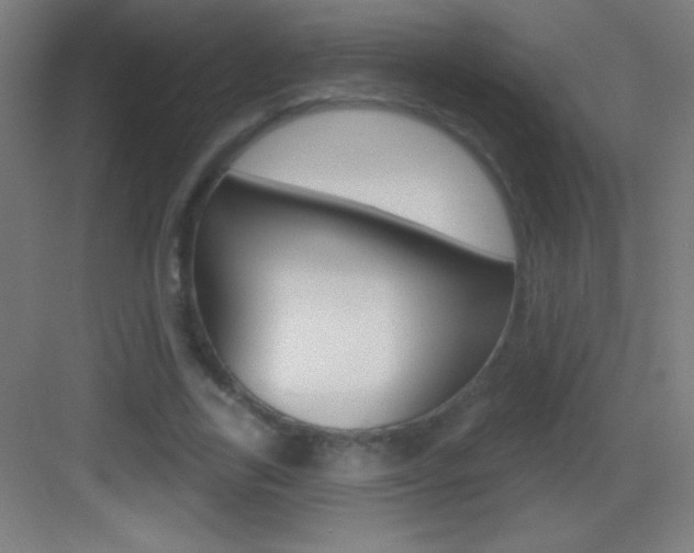 X0000083570731200702090814