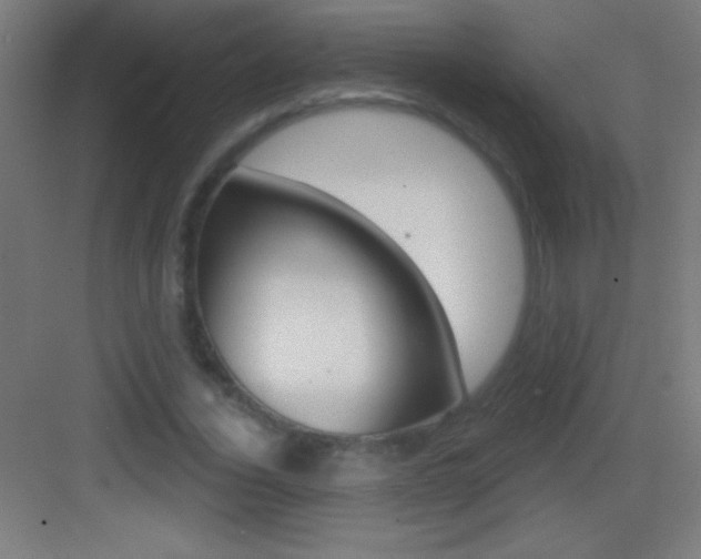 X0000083570732200702090814