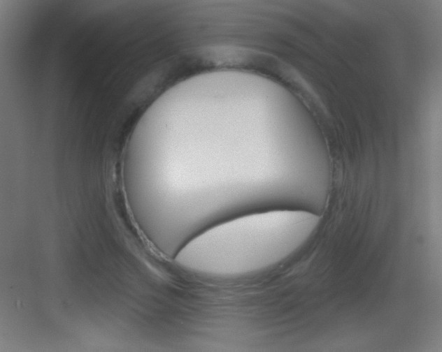 X0000083570733200702090814