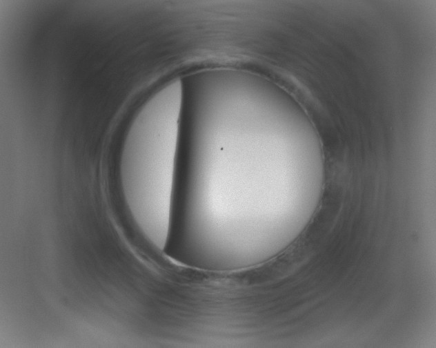 X0000083570736200702090814