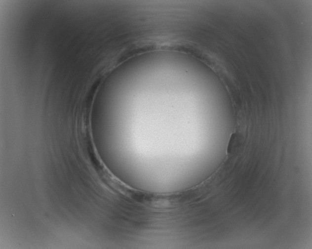 X0000083570740200702090815