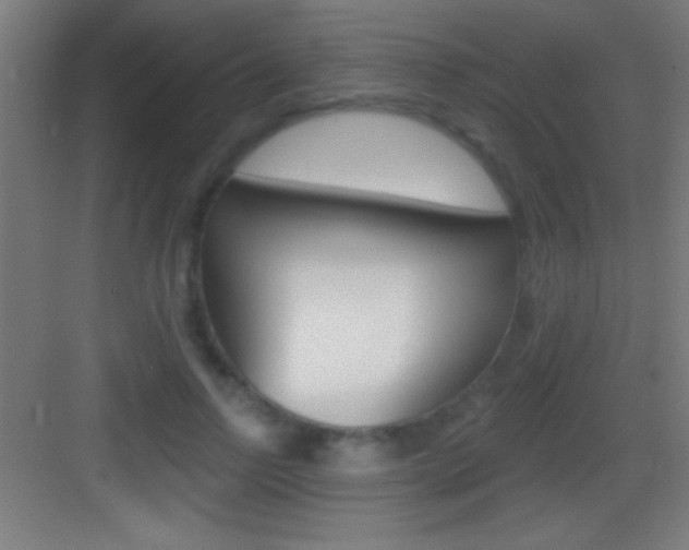 X0000083570742200702090815