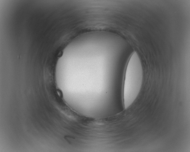 X0000083570743200702090815