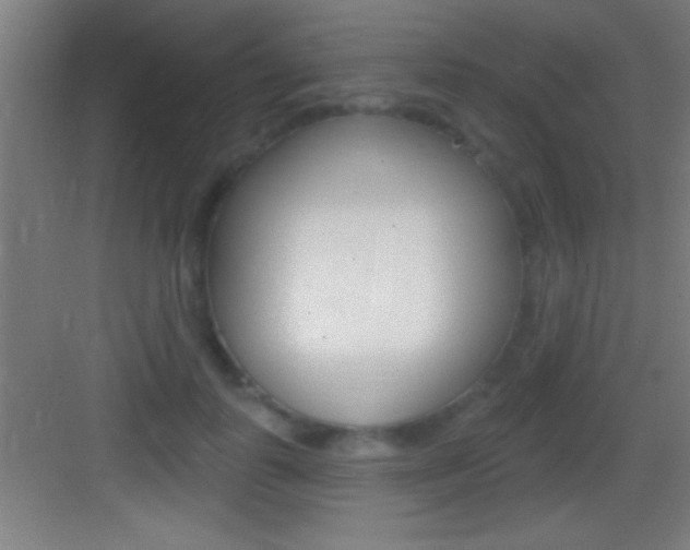 X0000083570747200702090815