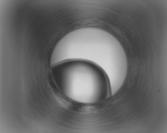 X0000083570748200702090815