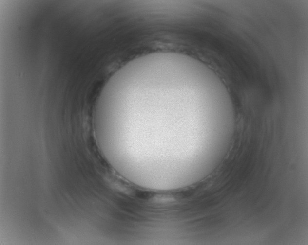 X0000083570749200702090815