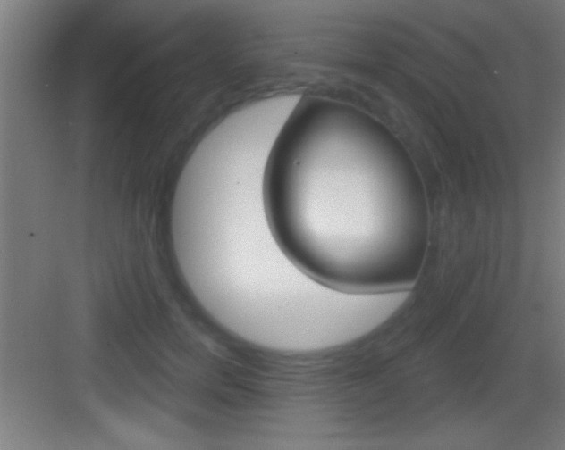 X0000083570750200702090815