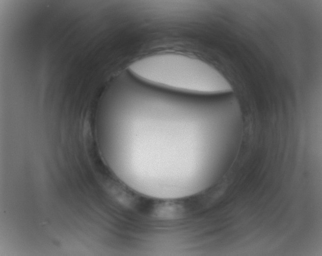 X0000083570754200702090815