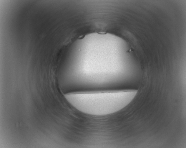 X0000083570759200702090815