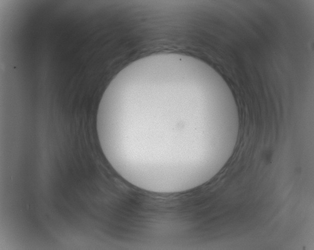 X0000083570768200702090815