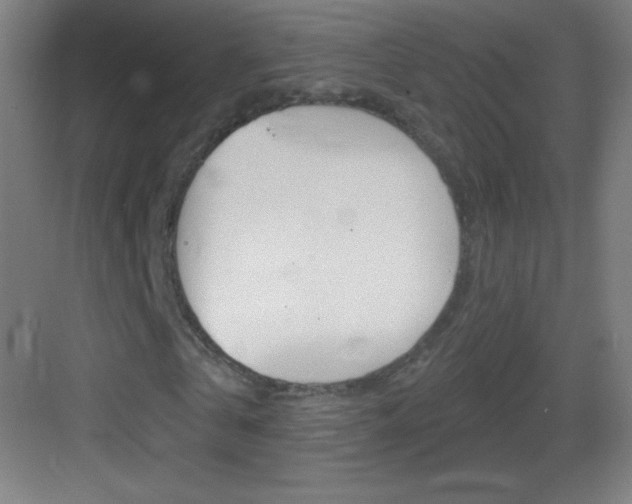 X0000083570769200702090814