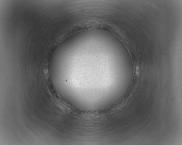 X0000083570771200702090814