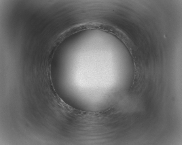 X0000083570773200702090814