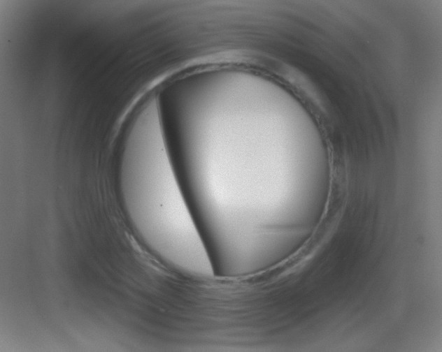 X0000083570781200702090814