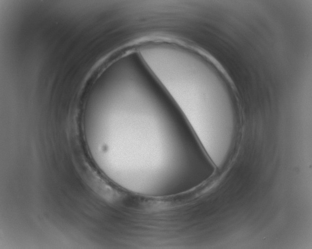 X0000083570783200702090814